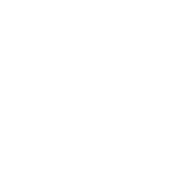 Hotel Mehtab Palace Rajbagh Srinagar Kashmir